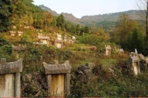 Nếu trong nghĩa trang có rắn, con cháu sẽ gặp đại sự