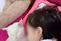 Bé gái 5 tuổi ở TP.HCM tử vong vì học theo trò “treo cổ” trên Youtube