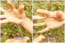 Tạo hình dây thun gợi nhớ tuổi thơ dữ dội của Gen Y