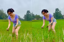 Hot girl Bà Tưng gây tranh cãi vì mặc hớ hênh khi làm ruộng