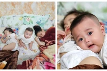 Lê Dương Bảo Lâm tuyên bố để hết tài sản lại cho quý tử