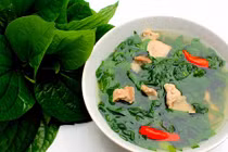 Loại lá hăng nồng, ít ai biết công dụng chữa bệnh cực lớn