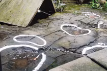 Đi ăn, phát hiện dấu vết quái thú 100 triệu tuổi giữa nhà hàng