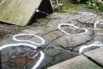 Đi ăn, phát hiện dấu vết quái thú 100 triệu tuổi giữa nhà hàng