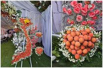 Độc đáo cổng cưới được trang trí bằng vải thiều ở Bắc Giang