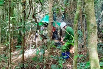 Xác định danh tính 2 cha con tử vong trong rừng Gia Lai