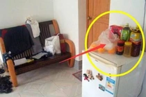 Nóc tủ lạnh để 3 thứ này, nhà có bao nhiêu của cải cũng trôi