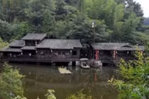 Bí ẩn ngôi làng nhiều cây, có ao tù nhưng không có muỗi 