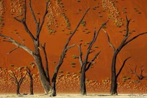 10 điểm đến cho thấy sự kỳ diệu của tự nhiên 