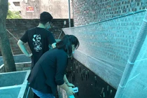 Nuôi côn trùng bán với giá khủng, 9x Hà Nội kiếm nửa tỷ đồng