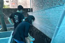 Nuôi côn trùng bán với giá khủng, 9x Hà Nội kiếm nửa tỷ đồng