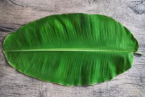 Loại lá gói xôi, bánh ở Việt Nam, được bán 500.000 đồng/lá trên Amazon, eBay