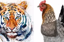 6 tháng cuối năm: 3 tuổi hết Thái Tuế, tiền về như thác đổ