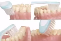 Bàn chải đánh răng dùng bao lâu thì nên thay?