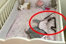 Phát hiện cảnh tượng đáng sợ trong cũi, mẹ vội vàng bế con tháo chạy