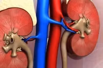 Đàn ông thận yếu thể hiện trên gương mặt