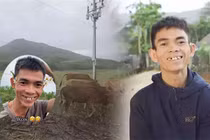 "Thế lực ngầm' giúp anh chăn bò Sô Y Tiết thu nhập khủng
