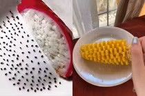 Ở nhà mùa dịch, netizen khoe màn "rảnh rỗi sinh nông nổi"