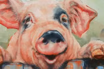 Nhà có con gái thuộc 4 tuổi này, phúc khí ngập tràn