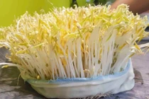 Loại rau bán này, đàn ông ai cũng ăn để tăng ham muốn