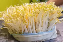 Loại rau bán này, đàn ông ai cũng ăn để tăng ham muốn