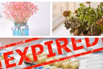 5 món đồ không được để trong nhà nếu muốn kết bạn Thần Tài