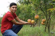 Liều trồng cây lạ, chàng trai miền Tây bất ngờ thu 1 tỷ đồng/năm