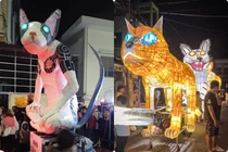 Những linh vật mèo dịp Trung thu ở Lâm Đồng khiến netizen “cười lăn“