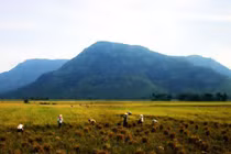 Phan Xích Long và tổ chức Thiên Địa Hội ở Nam Kỳ từng gây tiếng vang 