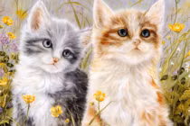 4 tuổi được Thần Tài theo gót, 6 tháng cuối năm tiền không thiếu