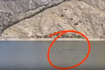 Quái vật dài 15 m được nhìn thấy trên hồ ở Trung Quốc?