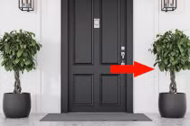 Đặt cây cảnh ở 2 vị trí này là phạm phong thủy, tán tài lộc 