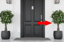 Đặt cây cảnh ở 2 vị trí này là phạm phong thủy, tán tài lộc 