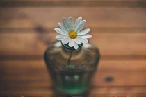  Người xấu bụng thích hỏi han những điều này, cẩn thận khi gặp phải