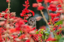 Ai sinh tháng Âm lịch này gặt hái nhiều cơ hội làm giàu