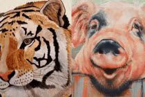 Vợ chồng thuộc 3 cặp con giáp này ngồi không lộc cũng đến