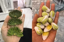 Cô gái 8X “hô biến” loạt món ăn thành kích thước siêu nhỏ