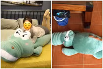 Mua cá sấu 1m5 trên mạng, cô gái thất vọng vì sản phẩm nhận được