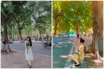 Phố Phan Đình Phùng có gì thu hút hội chị em check in