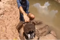 Thả câu ở đoạn sông nhỏ, người đàn ông kéo lên “quái thú" 