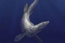 Thủy quái lạ 94 triệu tuổi