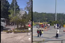 Xôn xao 2 chú chó nổi tiếng tại Đà Lạt bị chủ đánh đập