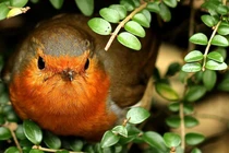 4 con giáp sự nghiệp thăng tiến, quý nhân bí mật phù trợ cuối 2022