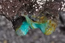 Phát hiện hàng chục loài chưa từng thấy ở hang động Hawaii