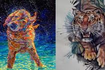 3 con giáp dễ gặp họa tiểu nhân, làm gì cũng nên cẩn trọng