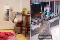 Trào lưu “không đẻ con gái đời không nể” và cái kết 