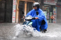 Dự báo thời tiết 29/7: Miền Bắc giảm nắng nóng, đêm đón mưa to