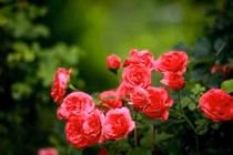 Trẻ sinh vào ba giờ này thì tài lộc ngày càng nhiều