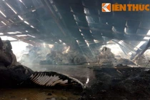 Vụ cháy ở KCN Quang Minh: ước tính thiệt hại 130 tỷ đồng