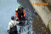 Ngụp lội trong bùn thối chống ngập lụt